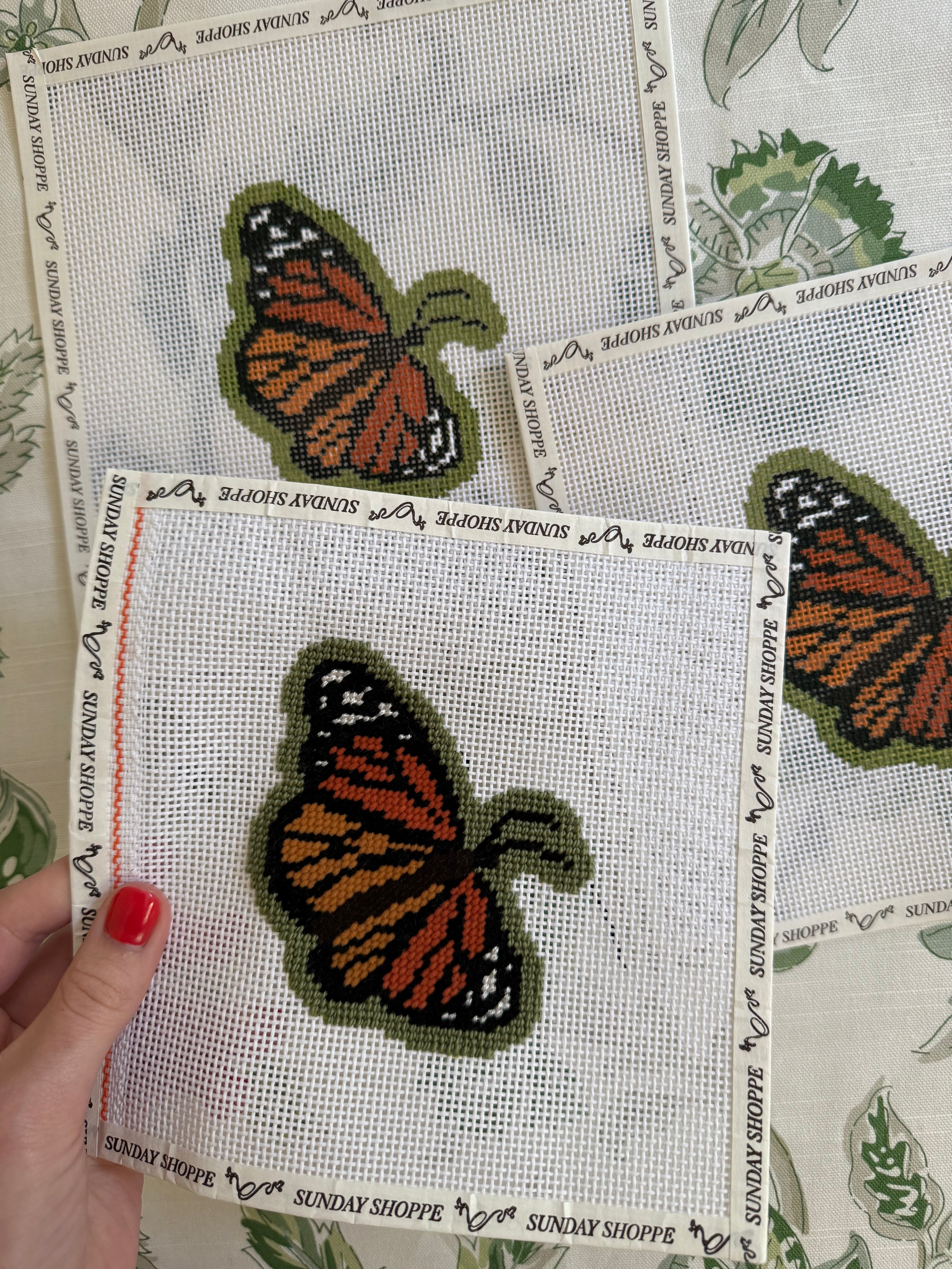 Monarch Butterfly