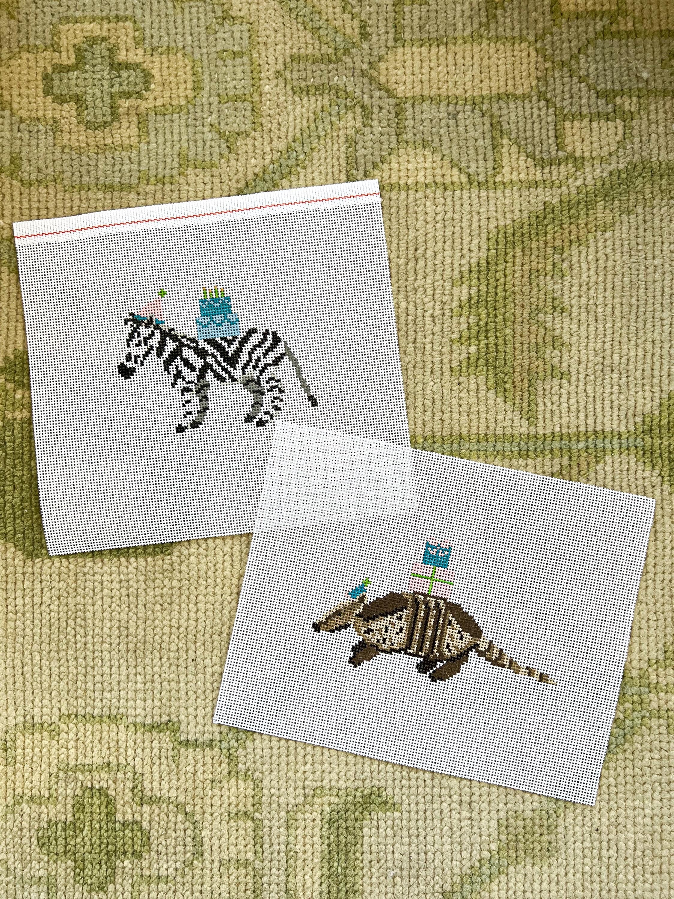 Party Animal Armadillo