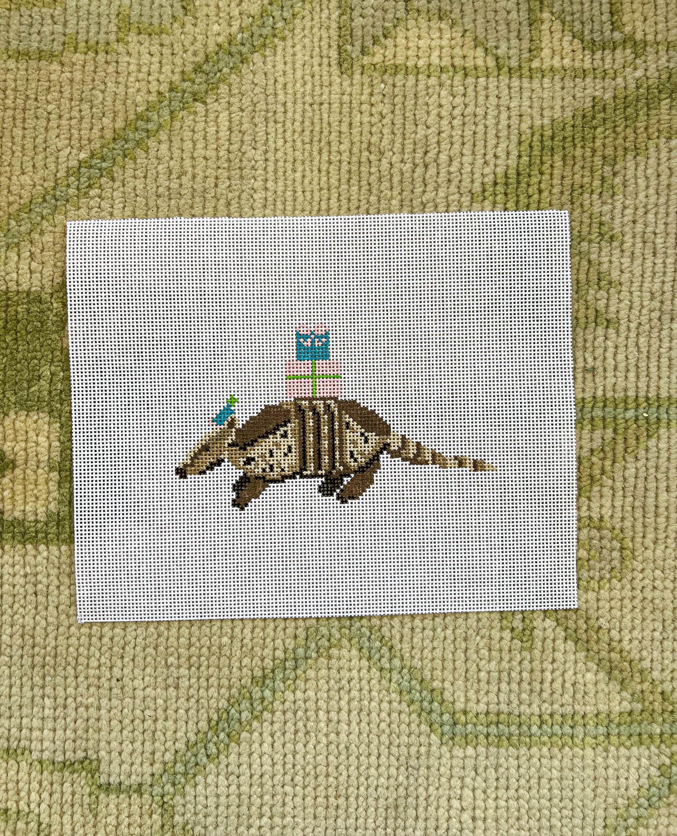 Party Animal Armadillo