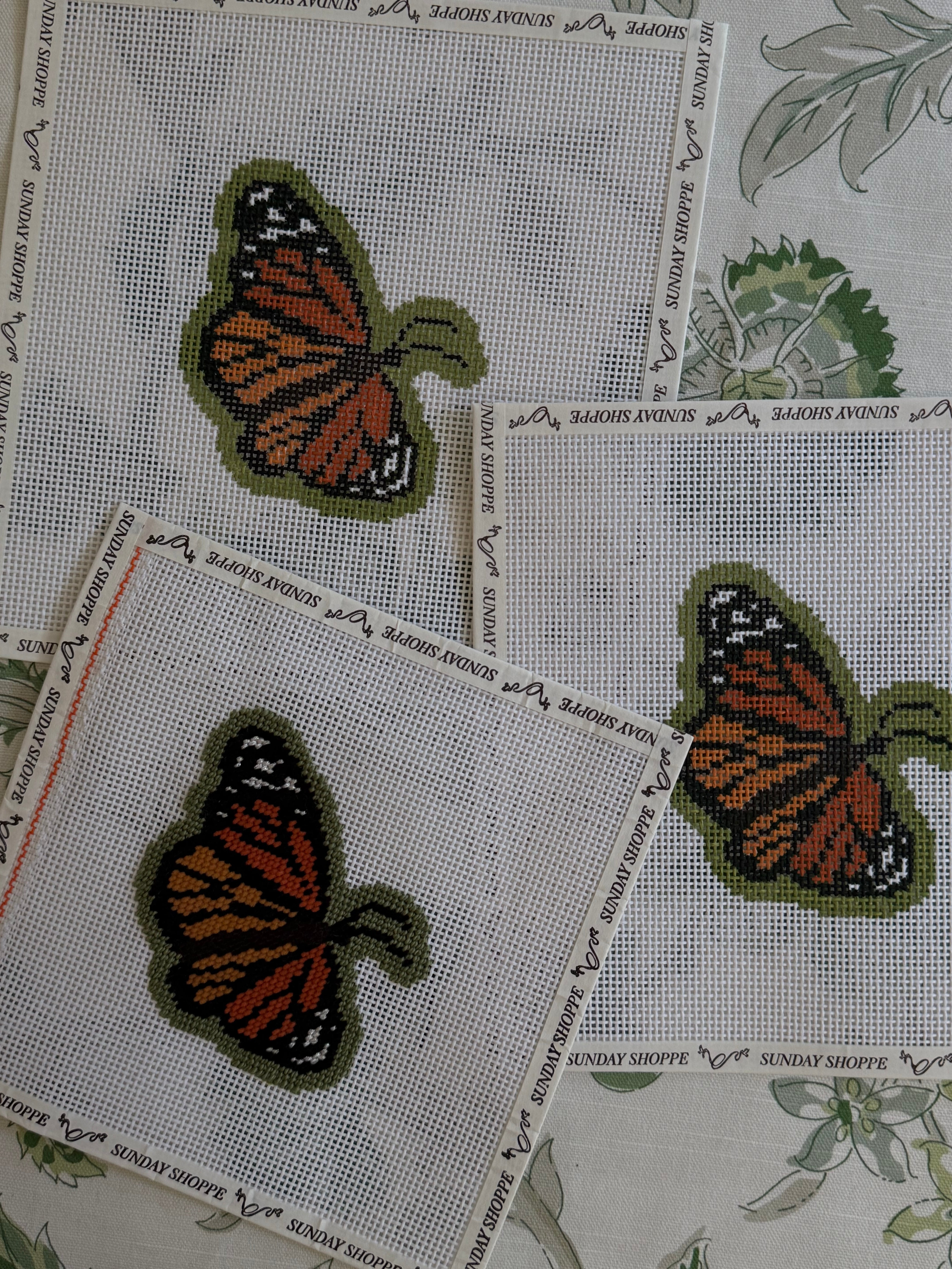 Monarch Butterfly