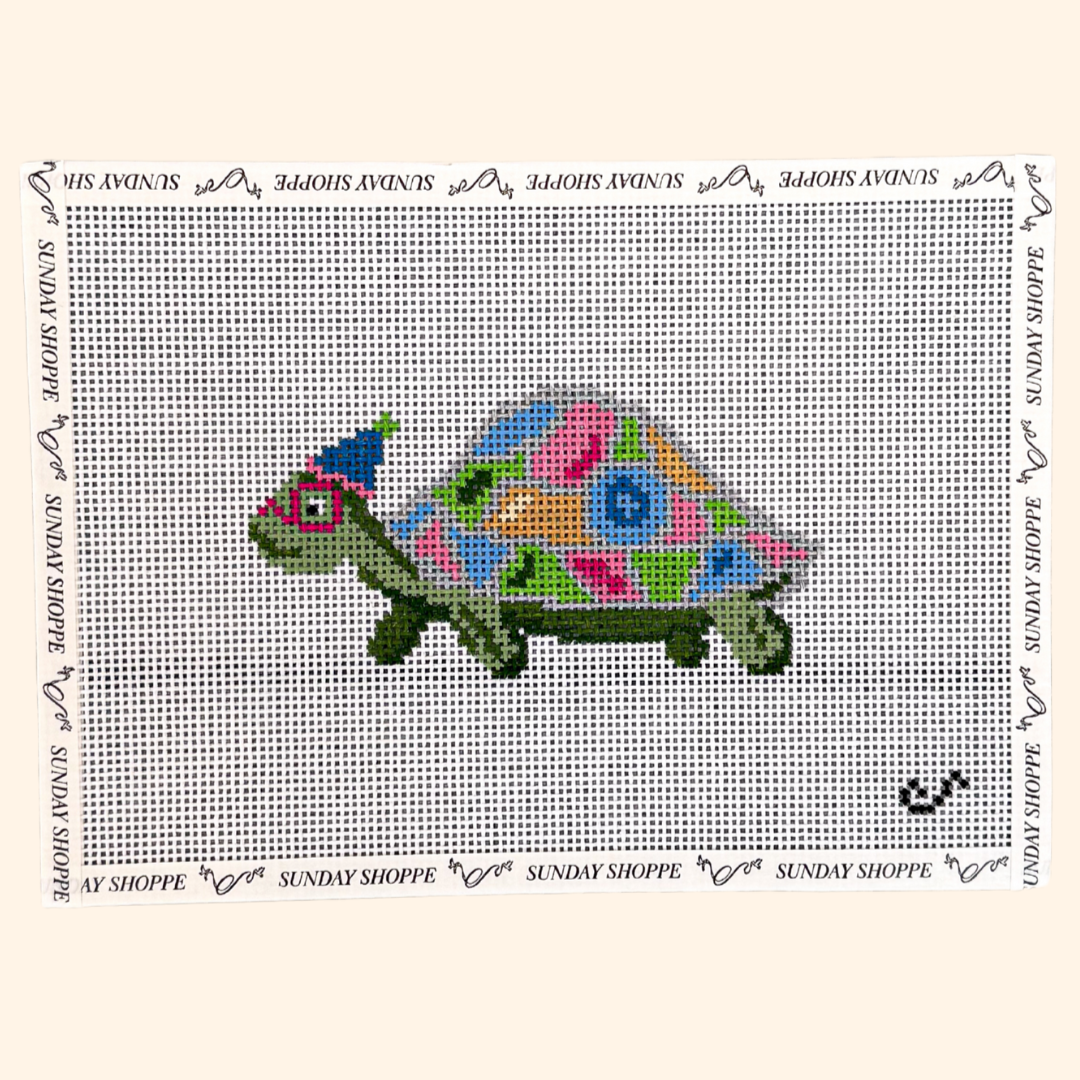 Party Animal Turtle (PREORDER)